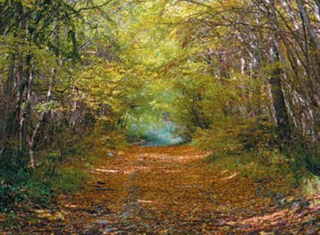 Kaiserwald Пула Экстерьер фото